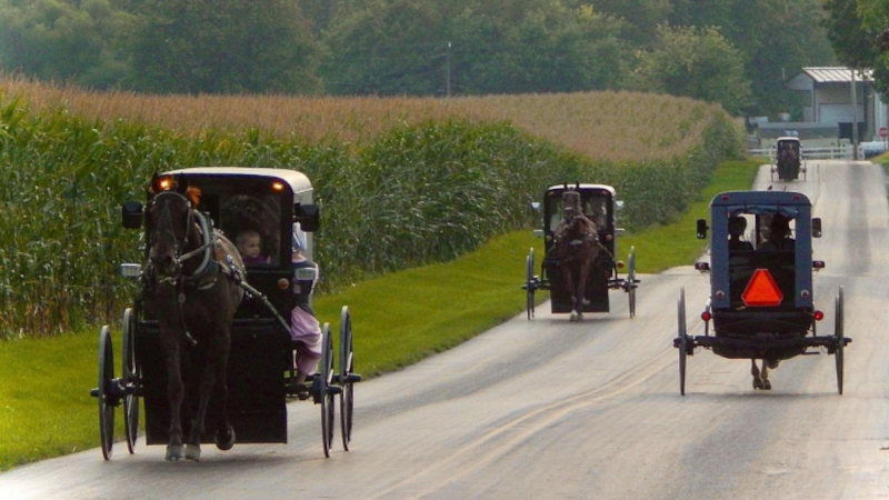 Amish